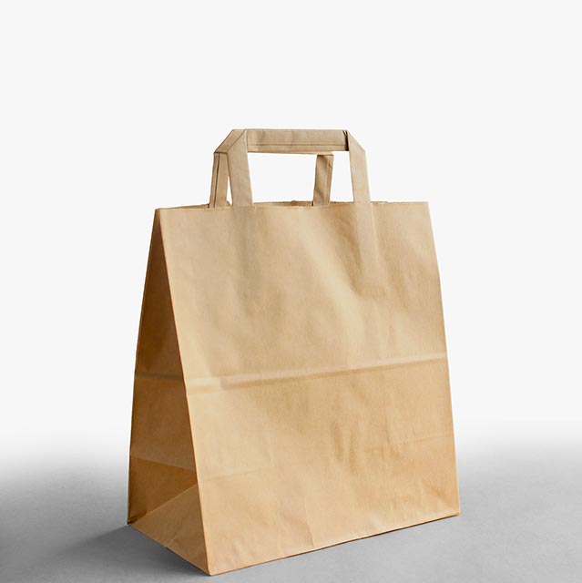 Carrier Bags with Flat Paper Handles product detail